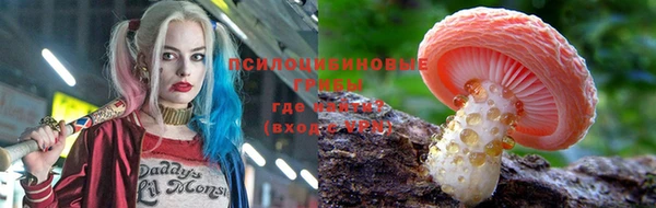 крисы Вуктыл